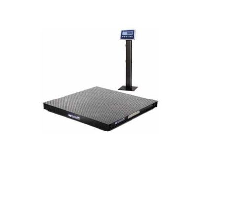 PFA261 C MT – Χωρητικότητα 5.000 lb, Ανοξείδωτη Πλατφόρμα 48x48 ιντσών, Δείκτης IND236