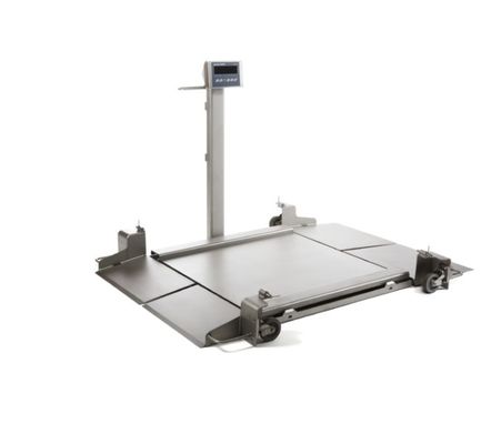 2888P-SS Γεωλογική κλίμακα - 0.5K χωρητικότητα - 24x24 Βιομηχανική πλατφόρμα με καλώδιο 1ft